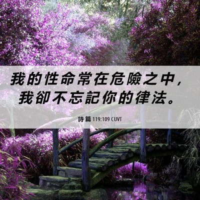 Picture 06 - 詩 篇 119:109 CUVT - 我 的 性 命 常 在 危 險 之 中 ， 我 - Bible Verse Picture