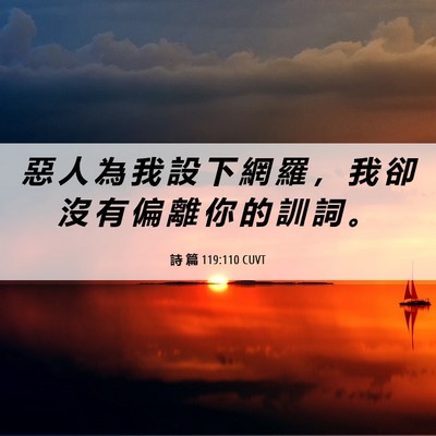Picture 06 - 詩 篇 119:110 CUVT - 惡 人 為 我 設 下 網 羅 ， 我 卻 沒 - Bible Verse Picture