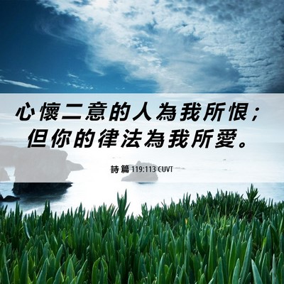 Picture 06 - 詩 篇 119:113 CUVT - 心 懷 二 意 的 人 為 我 所 恨 ； 但 - Bible Verse Picture