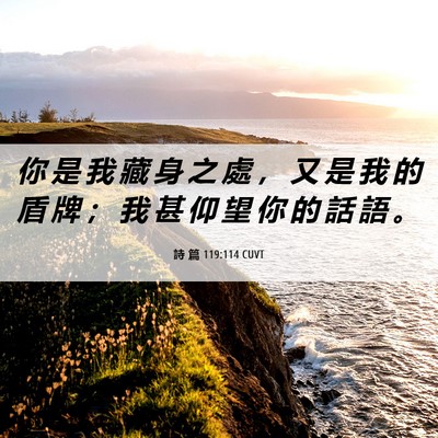 Picture 06 - 詩 篇 119:114 CUVT - 你 是 我 藏 身 之 處 ， 又 是 我 的 - Bible Verse Picture