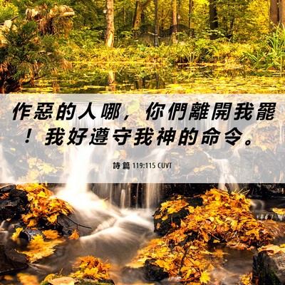 Picture 06 - 詩 篇 119:115 CUVT - 作 惡 的 人 哪 ， 你 們 離 開 我 罷 - Bible Verse Picture
