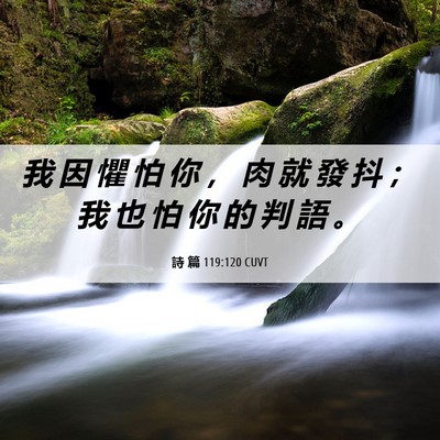 Picture 06 - 詩 篇 119:120 CUVT - 我 因 懼 怕 你 ， 肉 就 發 抖 ； 我 - Bible Verse Picture