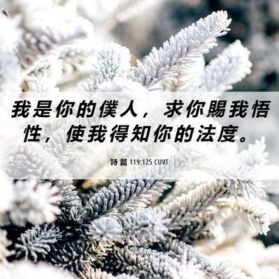 Picture 06 - 詩 篇 119:125 CUVT - 我 是 你 的 僕 人 ， 求 你 賜 我 悟 - Bible Verse Picture