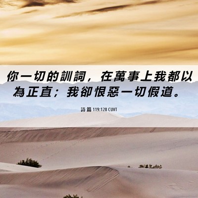 Picture 06 - 詩 篇 119:128 CUVT - 你 一 切 的 訓 詞 ， 在 萬 事 上 我 - Bible Verse Picture