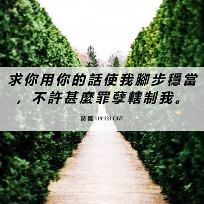 Picture 06 - 詩 篇 119:133 CUVT - 求 你 用 你 的 話 使 我 腳 步 穩 當 - Bible Verse Picture