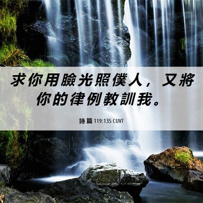 Picture 06 - 詩 篇 119:135 CUVT - 求 你 用 臉 光 照 僕 人 ， 又 將 你 - Bible Verse Picture