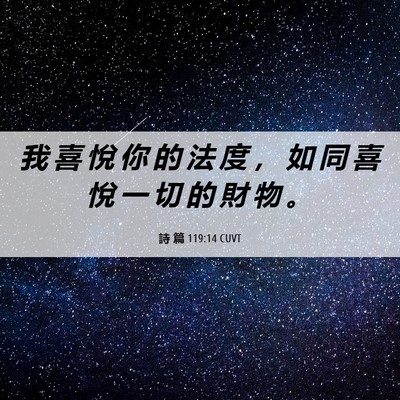 Picture 06 - 詩 篇 119:14 CUVT - 我 喜 悅 你 的 法 度 ， 如 同 喜 悅 - Bible Verse Picture