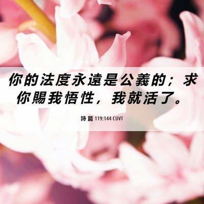 Picture 06 - 詩 篇 119:144 CUVT - 你 的 法 度 永 遠 是 公 義 的 ； 求 - Bible Verse Picture