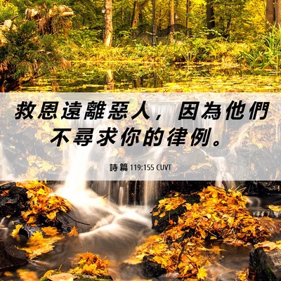 Picture 06 - 詩 篇 119:155 CUVT - 救 恩 遠 離 惡 人 ， 因 為 他 們 不 - Bible Verse Picture