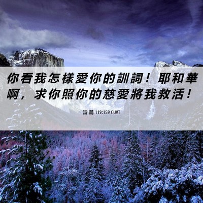 Picture 06 - 詩 篇 119:159 CUVT - 你 看 我 怎 樣 愛 你 的 訓 詞 ！ 耶 - Bible Verse Picture