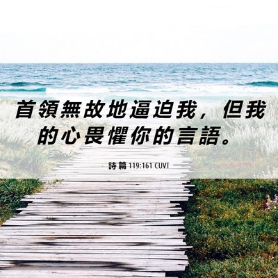 Picture 06 - 詩 篇 119:161 CUVT - 首 領 無 故 地 逼 迫 我 ， 但 我 的 - Bible Verse Picture