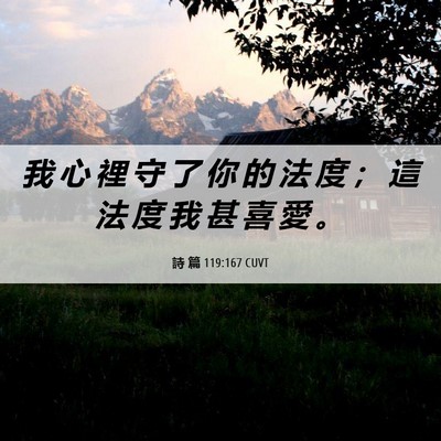 Picture 06 - 詩 篇 119:167 CUVT - 我 心 裡 守 了 你 的 法 度 ； 這 法 - Bible Verse Picture