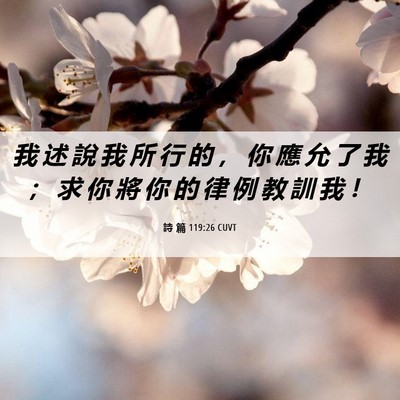 Picture 06 - 詩 篇 119:26 CUVT - 我 述 說 我 所 行 的 ， 你 應 允 了 - Bible Verse Picture