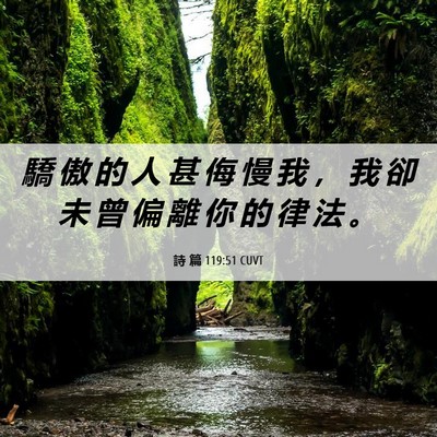 Picture 06 - 詩 篇 119:51 CUVT - 驕 傲 的 人 甚 侮 慢 我 ， 我 卻 未 - Bible Verse Picture