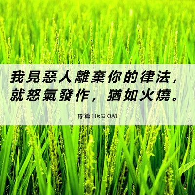 Picture 06 - 詩 篇 119:53 CUVT - 我 見 惡 人 離 棄 你 的 律 法 ， 就 - Bible Verse Picture