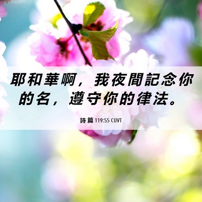 Picture 06 - 詩 篇 119:55 CUVT - 耶 和 華 啊 ， 我 夜 間 記 念 你 的 - Bible Verse Picture