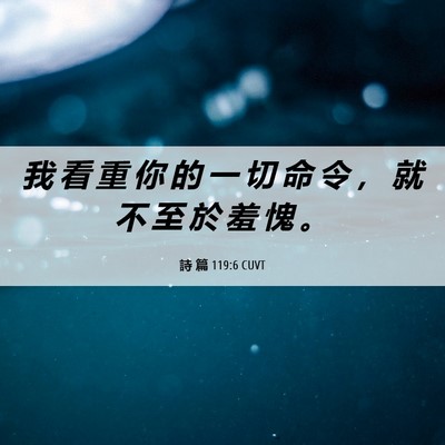 Picture 06 - 詩 篇 119:6 CUVT - 我 看 重 你 的 一 切 命 令 ， 就 不 - Bible Verse Picture