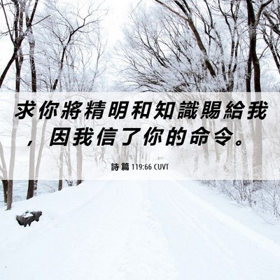 Picture 06 - 詩 篇 119:66 CUVT - 求 你 將 精 明 和 知 識 賜 給 我 ， - Bible Verse Picture