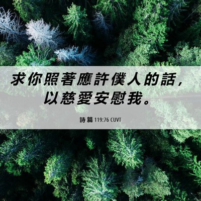 Picture 06 - 詩 篇 119:76 CUVT - 求 你 照 著 應 許 僕 人 的 話 ， 以 - Bible Verse Picture