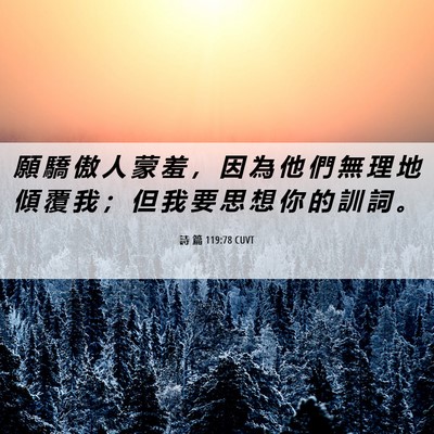 Picture 06 - 詩 篇 119:78 CUVT - 願 驕 傲 人 蒙 羞 ， 因 為 他 們 無 - Bible Verse Picture