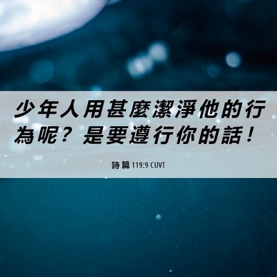 Picture 06 - 詩 篇 119:9 CUVT - 少 年 人 用 甚 麼 潔 淨 他 的 行 為 - Bible Verse Picture