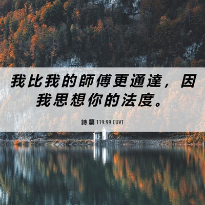 Picture 06 - 詩 篇 119:99 CUVT - 我 比 我 的 師 傅 更 通 達 ， 因 我 - Bible Verse Picture