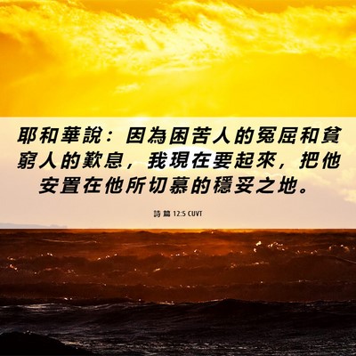 Picture 06 - 詩 篇 12:5 CUVT - 耶 和 華 說 ： 因 為 困 苦 人 的 冤 - Bible Verse Picture