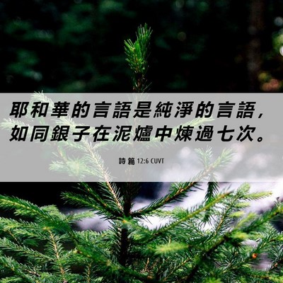 Picture 06 - 詩 篇 12:6 CUVT - 耶 和 華 的 言 語 是 純 淨 的 言 語 - Bible Verse Picture