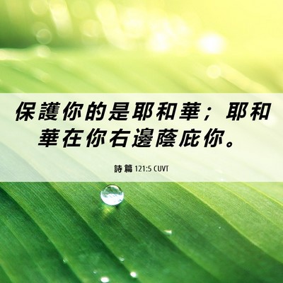 Picture 06 - 詩 篇 121:5 CUVT - 保 護 你 的 是 耶 和 華 ； 耶 和 華 - Bible Verse Picture