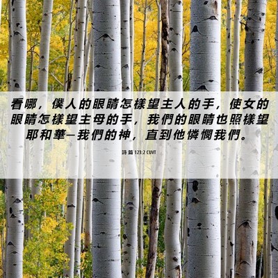 Picture 06 - 詩 篇 123:2 CUVT - 看 哪 ， 僕 人 的 眼 睛 怎 樣 望 主 - Bible Verse Picture