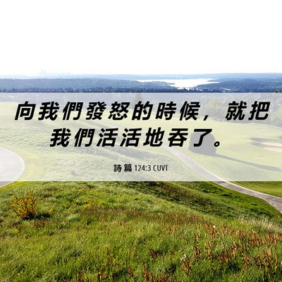 Picture 06 - 詩 篇 124:3 CUVT - 向 我 們 發 怒 的 時 候 ， 就 把 我 - Bible Verse Picture