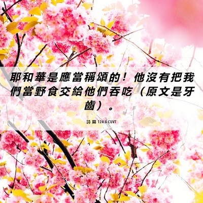 Picture 06 - 詩 篇 124:6 CUVT - 耶 和 華 是 應 當 稱 頌 的 ！ 他 沒 - Bible Verse Picture