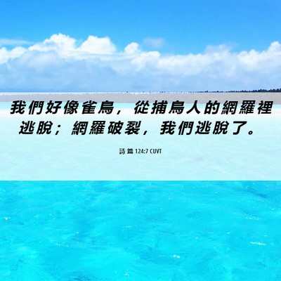 Picture 06 - 詩 篇 124:7 CUVT - 我 們 好 像 雀 鳥 ， 從 捕 鳥 人 的 - Bible Verse Picture
