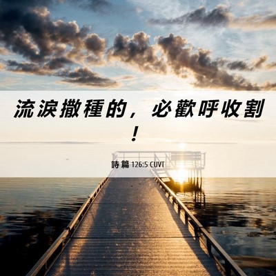 Picture 06 - 詩 篇 126:5 CUVT - 流 淚 撒 種 的 ， 必 歡 呼 收 割 - Bible Verse Picture