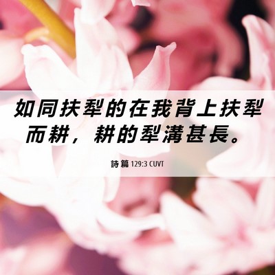 Picture 06 - 詩 篇 129:3 CUVT - 如 同 扶 犁 的 在 我 背 上 扶 犁 而 - Bible Verse Picture