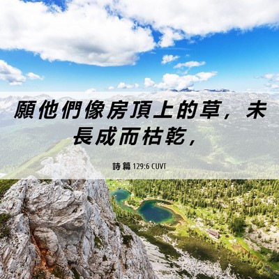 Picture 06 - 詩 篇 129:6 CUVT - 願 他 們 像 房 頂 上 的 草 ， 未 長 - Bible Verse Picture