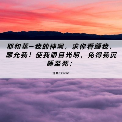 Picture 06 - 詩 篇 13:3 CUVT - 耶 和 華 ─ 我 的 神 啊 ， 求 你 看 - Bible Verse Picture