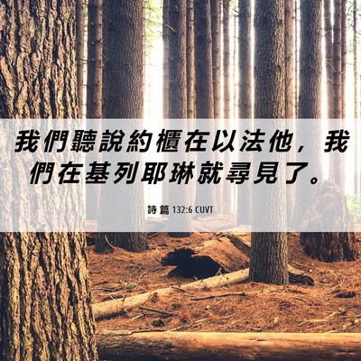 Picture 06 - 詩 篇 132:6 CUVT - 我 們 聽 說 約 櫃 在 以 法 他 ， 我 - Bible Verse Picture