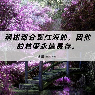Picture 06 - 詩 篇 136:13 CUVT - 稱 謝 那 分 裂 紅 海 的 ， 因 他 的 - Bible Verse Picture