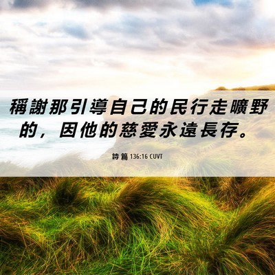 Picture 06 - 詩 篇 136:16 CUVT - 稱 謝 那 引 導 自 己 的 民 行 走 曠 - Bible Verse Picture