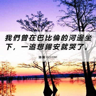 Picture 06 - 詩 篇 137:1 CUVT - 我 們 曾 在 巴 比 倫 的 河 邊 坐 下 - Bible Verse Picture