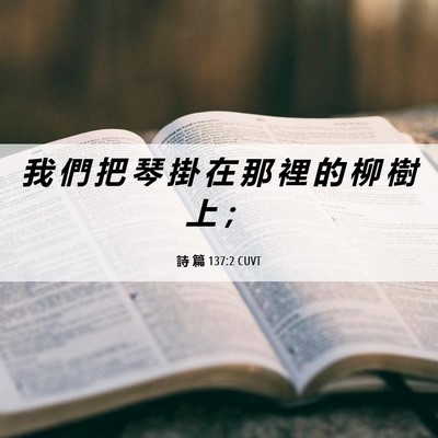 Picture 06 - 詩 篇 137:2 CUVT - 我 們 把 琴 掛 在 那 裡 的 柳 樹 上 - Bible Verse Picture
