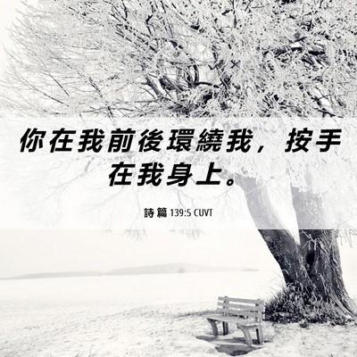 Picture 06 - 詩 篇 139:5 CUVT - 你 在 我 前 後 環 繞 我 ， 按 手 在 - Bible Verse Picture