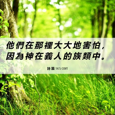 Picture 06 - 詩 篇 14:5 CUVT - 他 們 在 那 裡 大 大 地 害 怕 ， 因 - Bible Verse Picture