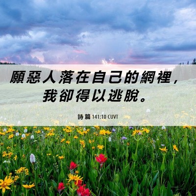 Picture 06 - 詩 篇 141:10 CUVT - 願 惡 人 落 在 自 己 的 網 裡 ， 我 - Bible Verse Picture
