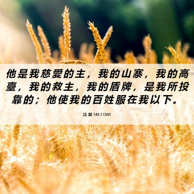 Picture 06 - 詩 篇 144:2 CUVT - 他 是 我 慈 愛 的 主 ， 我 的 山 寨 - Bible Verse Picture