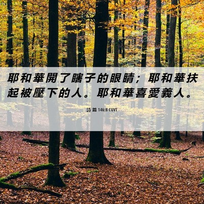 Picture 06 - 詩 篇 146:8 CUVT - 耶 和 華 開 了 瞎 子 的 眼 睛 ； 耶 - Bible Verse Picture