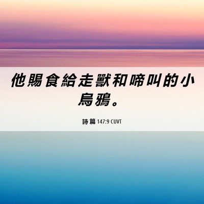 Picture 06 - 詩 篇 147:9 CUVT - 他 賜 食 給 走 獸 和 啼 叫 的 小 烏 - Bible Verse Picture