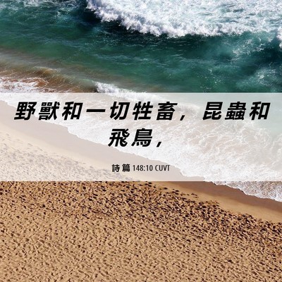Picture 06 - 詩 篇 148:10 CUVT - 野 獸 和 一 切 牲 畜 ， 昆 蟲 和 飛 - Bible Verse Picture