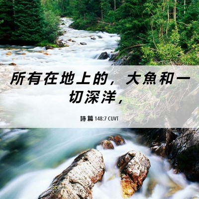 Picture 06 - 詩 篇 148:7 CUVT - 所 有 在 地 上 的 ， 大 魚 和 一 切 - Bible Verse Picture